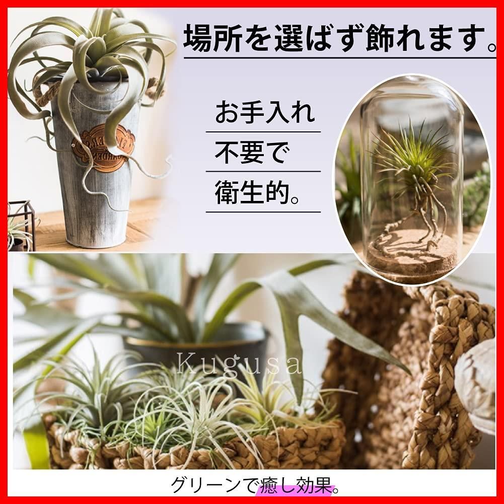 数量 装飾 インテリア 観葉植物 人工 吊り下げ スパニッシュモス大 壁掛け フェイクグリーン 造花 エアープランツ エアプランツ Kugusa WWW_GEBZETESISAT_COM_TR