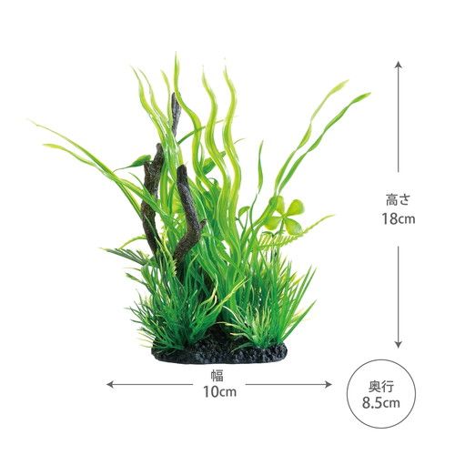 同梱不可 12個セット ジェックス癒し水景MIXプランツウッドバリスネリア STEELWINDOWSANDDOORS_COM