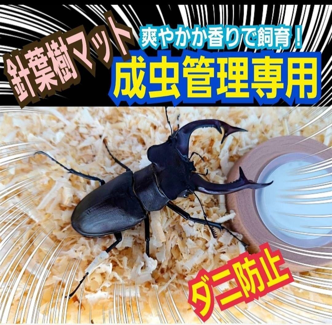 クワガタ、カブトムシの成虫飼育専用 針葉樹クリーンマット 【たっぷり