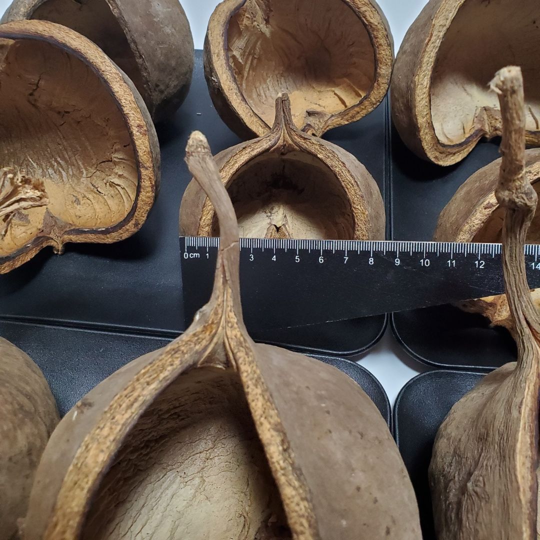 ハンドメイド花材