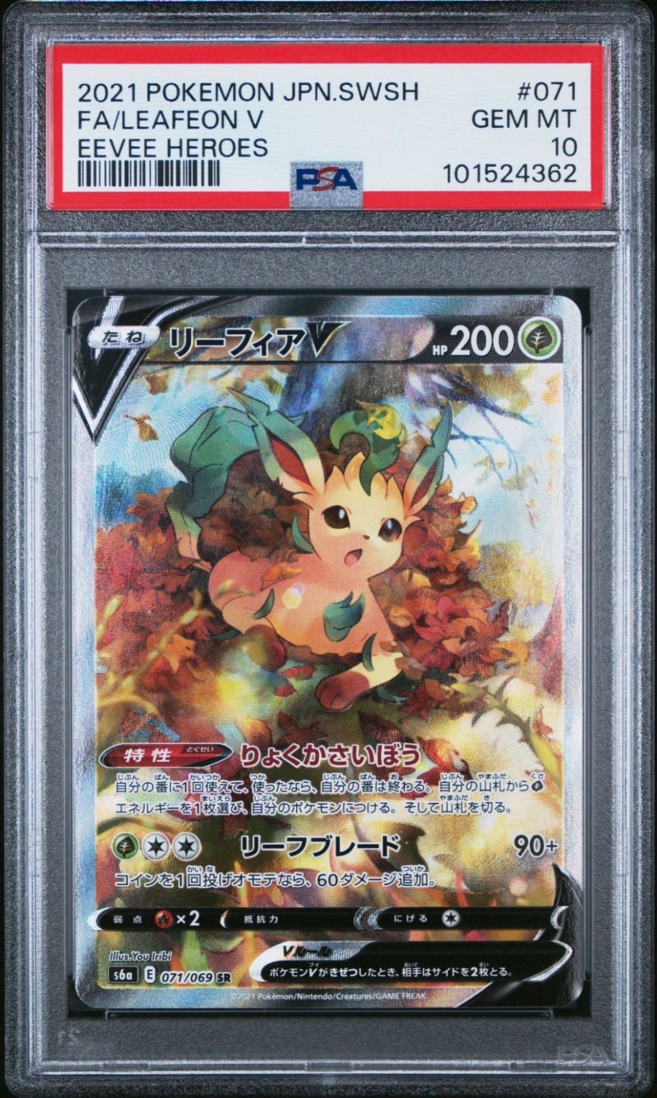 ポケモンカード　リーフィアV PSA 10 ホロレア 2021 リーフィアV | ポケモンカードゲーム公式ホームページ