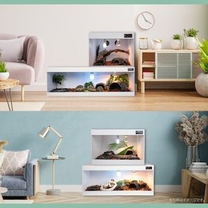 Red in フォルマックス爬虫類ケージトカゲ飼育場 XLサイズ (120cm