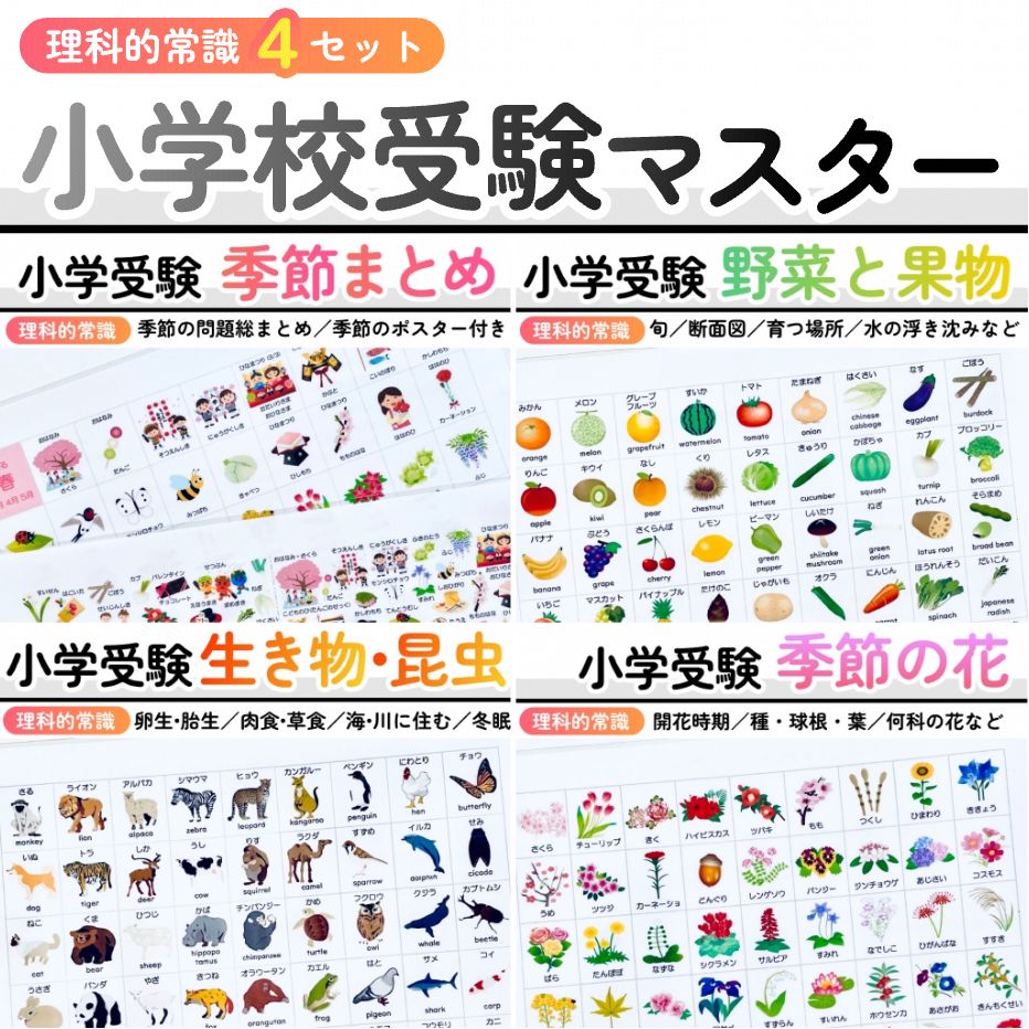 小学校受験マスター 教材セット 季節 野菜 動物 生き物 昆虫 花