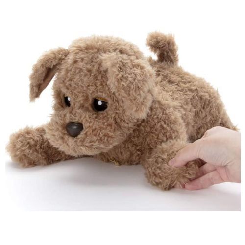 もっとおりこうダッキー タカラトミーアーツ お話しロボット 自宅遊び プレゼントにも 犬型ペットロボット