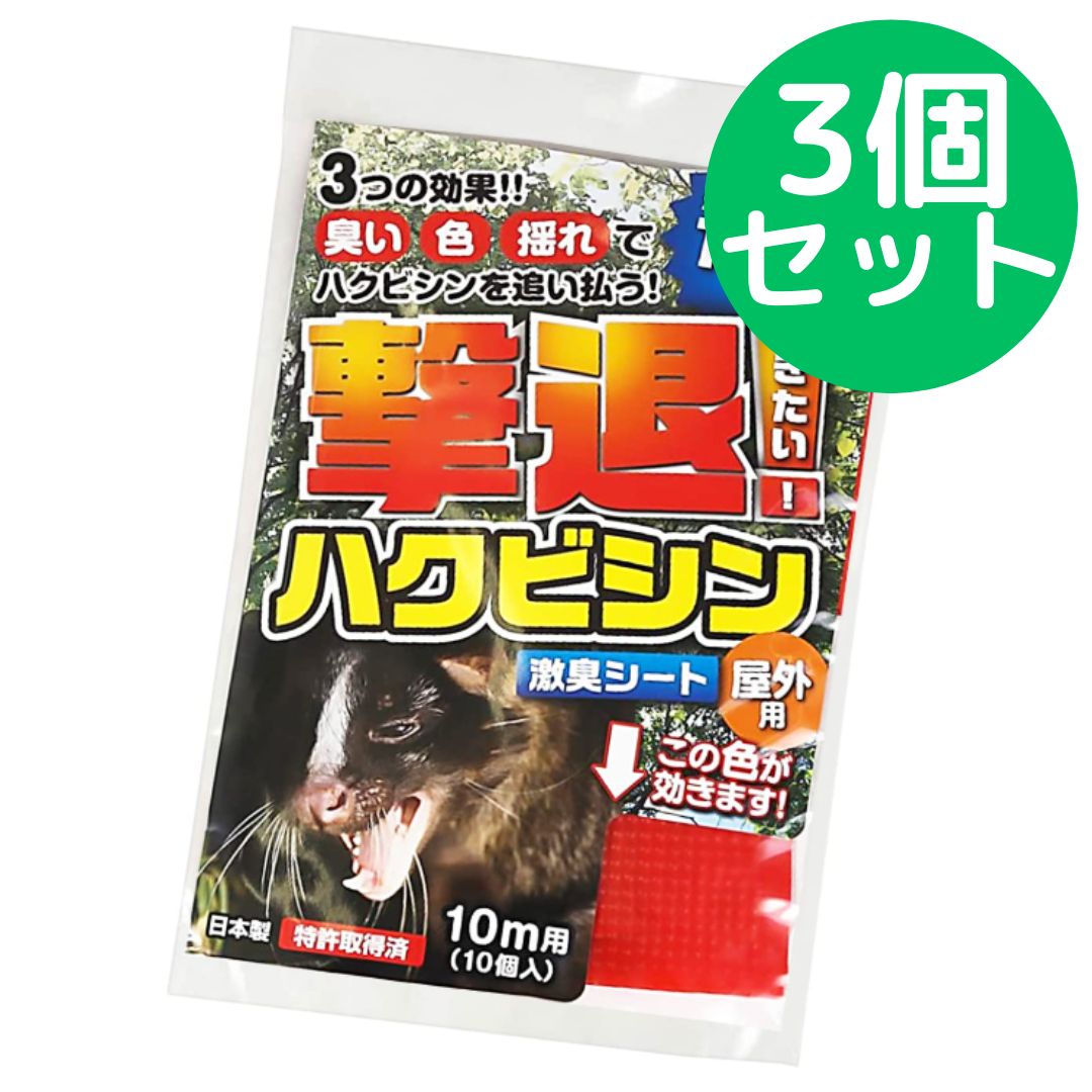 限定1セット❗ラナンキュラスラックスポンポン沢山❗鉢には2〜3位球根入ってます。 限定1セット❗ラナンキュラスラックスポンポン沢山❗鉢には2〜3