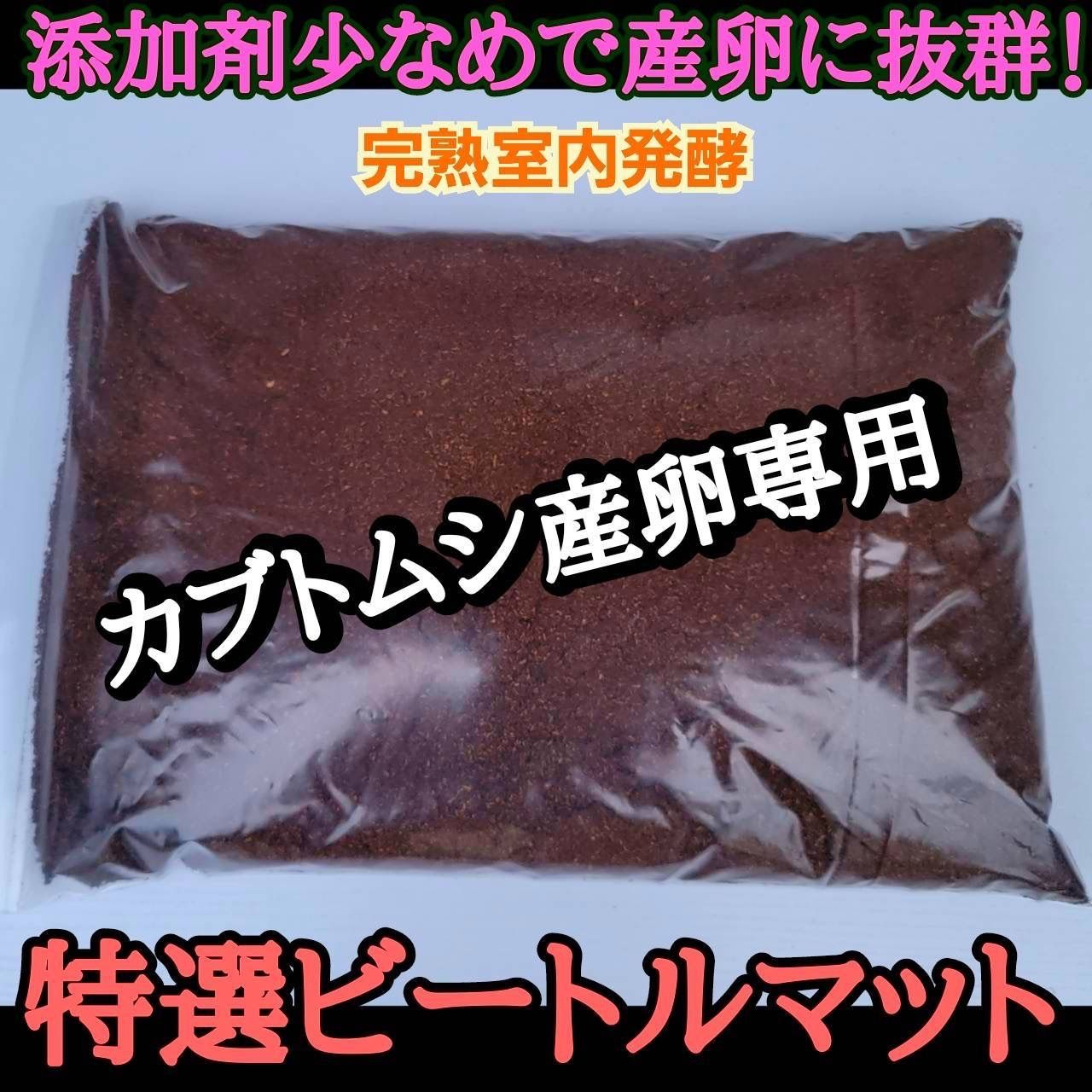 カブトムシの産卵専用 特選ビートルマット【60リットル】オガを植菌で