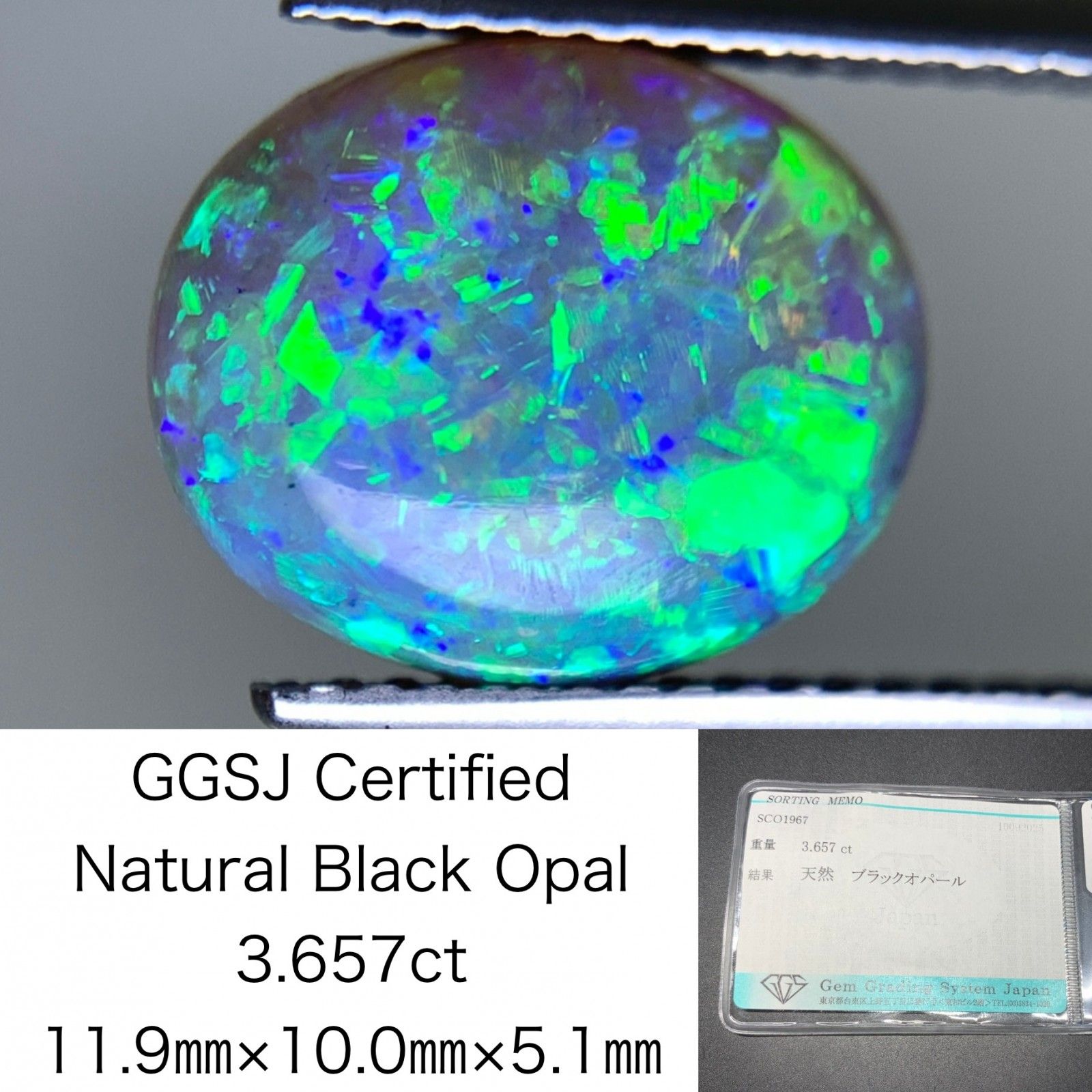 ブラックオパール 天然 3.657ct 宝石ソーティング付き 11.9㎜×10.0㎜×5.1㎜ ルース 裸石 6834Y
