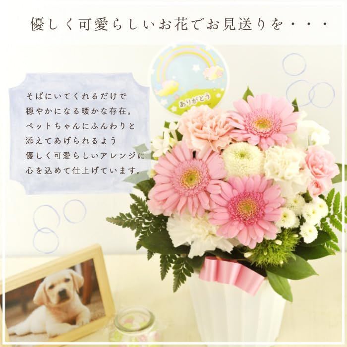 ピック付き