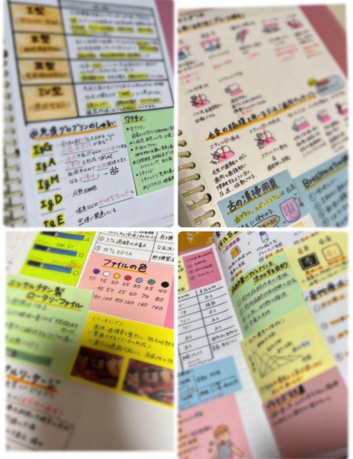 歯科衛生士 国家試験 勉強ノート まとめノート DH - メルカリ