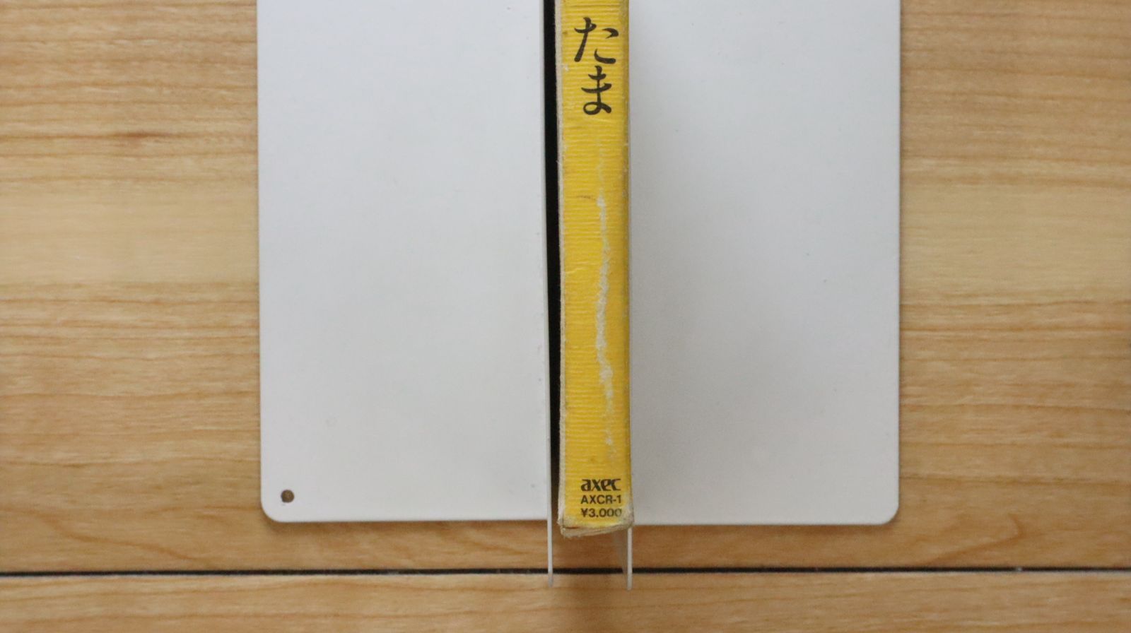 激レア美品！見本盤★たま/さんだる★アルバム　CD 510dCYVNPzL.jpg_BO30,255,255,
