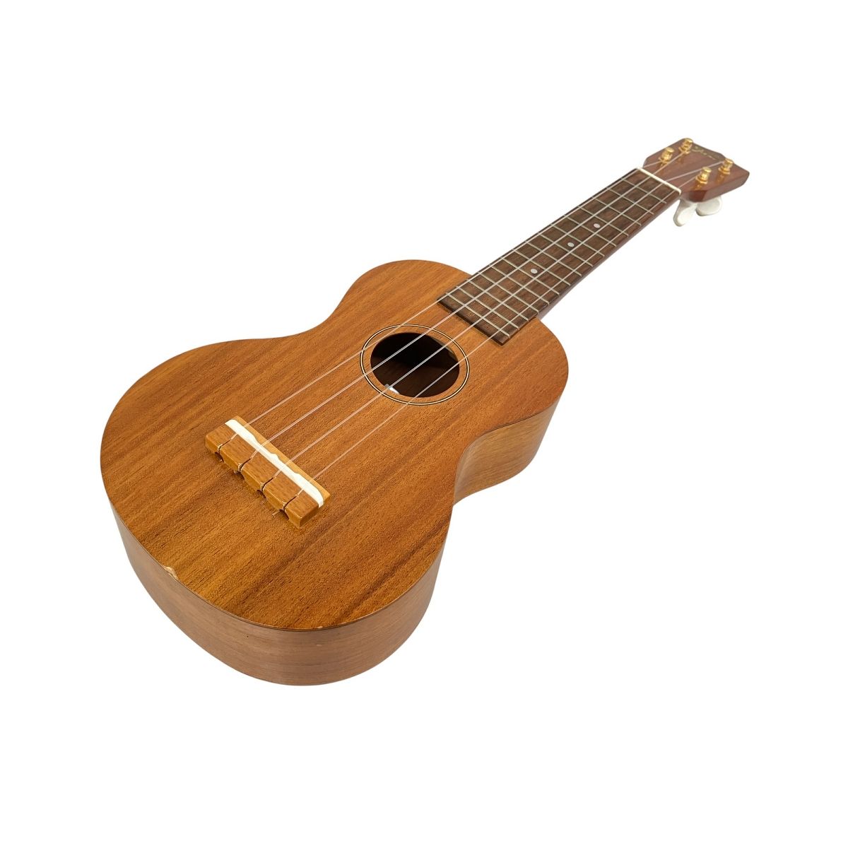Famous UKULELE フェイマス FS-5G ウクレレ ECO SEREIES ソフトケース付き K10410558