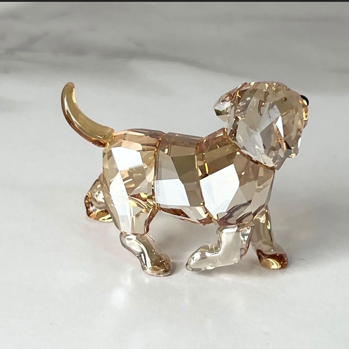 SWAROVSKI スワロフスキー ゴールデンレトリバー 犬 廃盤品 SWAROVSKI スワロフスキー ゴールデンレトリバー 犬 廃盤品