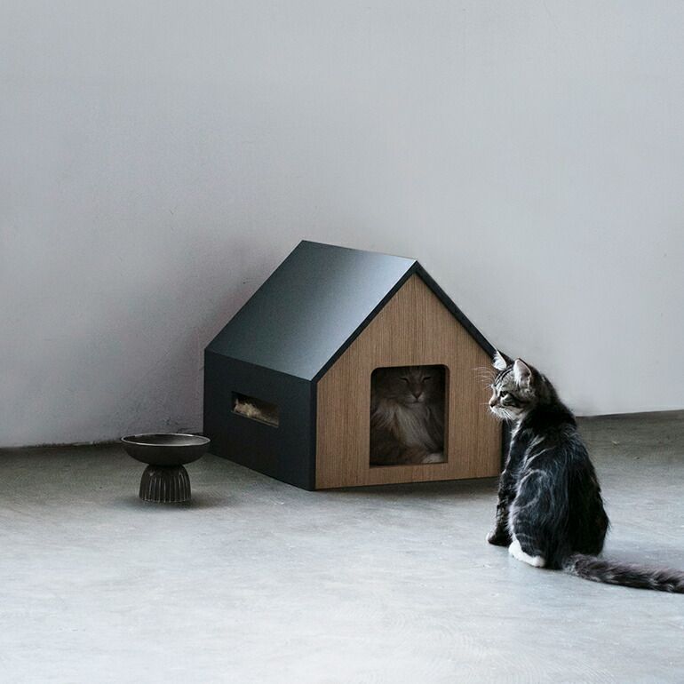 キャットハウス