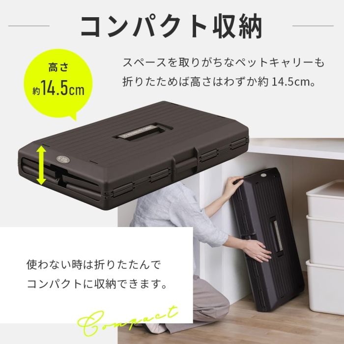 5営業日で発送