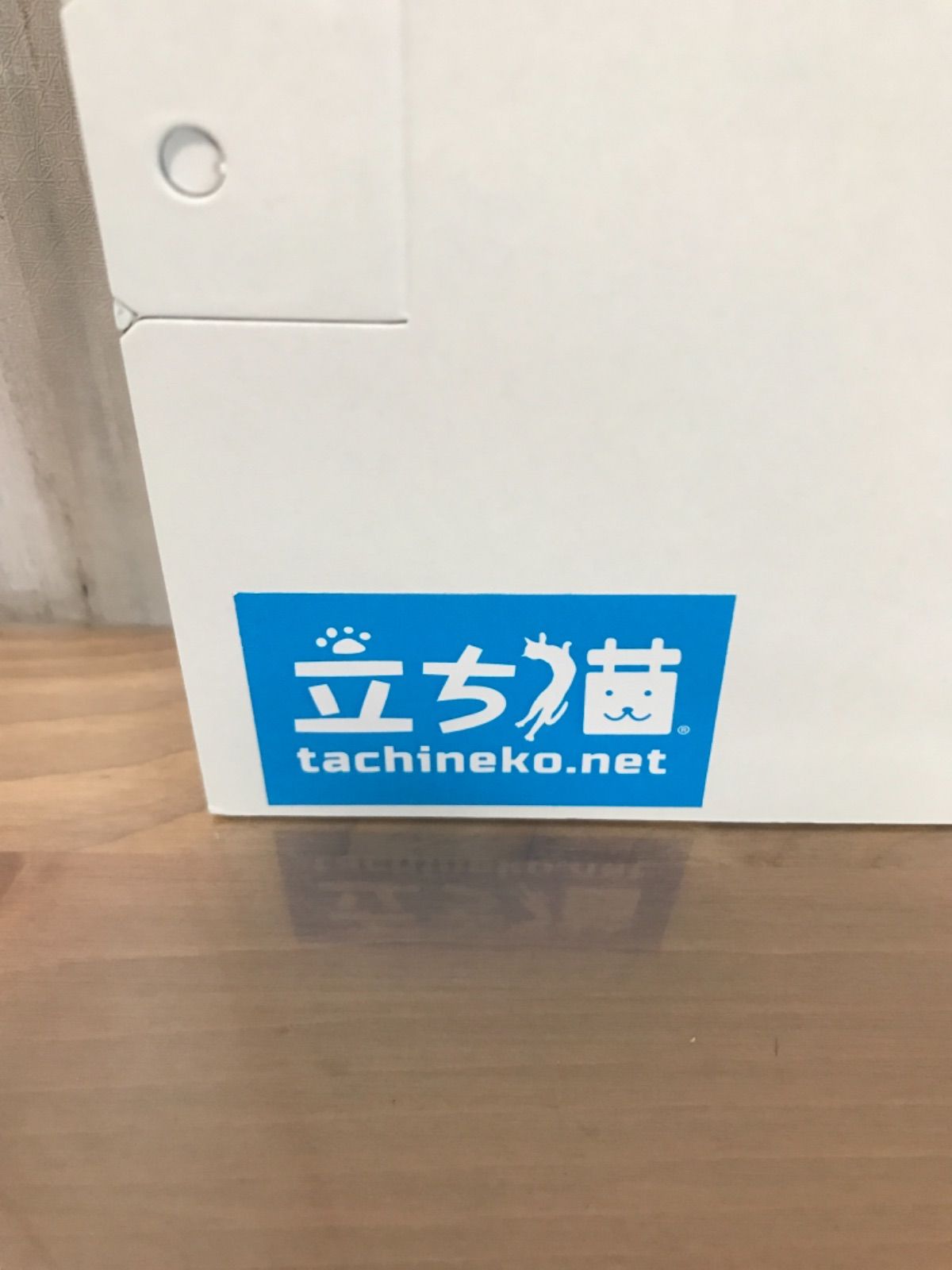 立ち猫　A4サイズ　tachineko 額-2