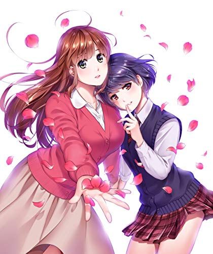 ドメスティックな彼女 Blu-ray BOX -袋とじver.- 井畑翔太