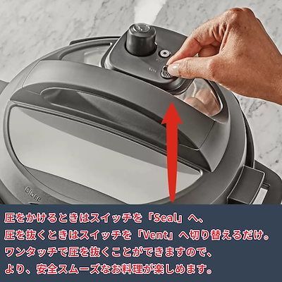 電気圧力鍋 RIO