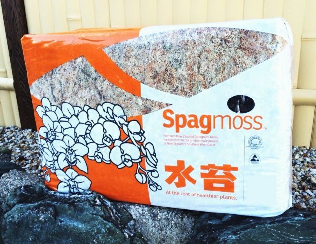 水苔ニュージーランド産ハイグレード 2 A 約1 kg 復元容量約80 L ～ＡＡグレードSpagmoss 水ゴケ