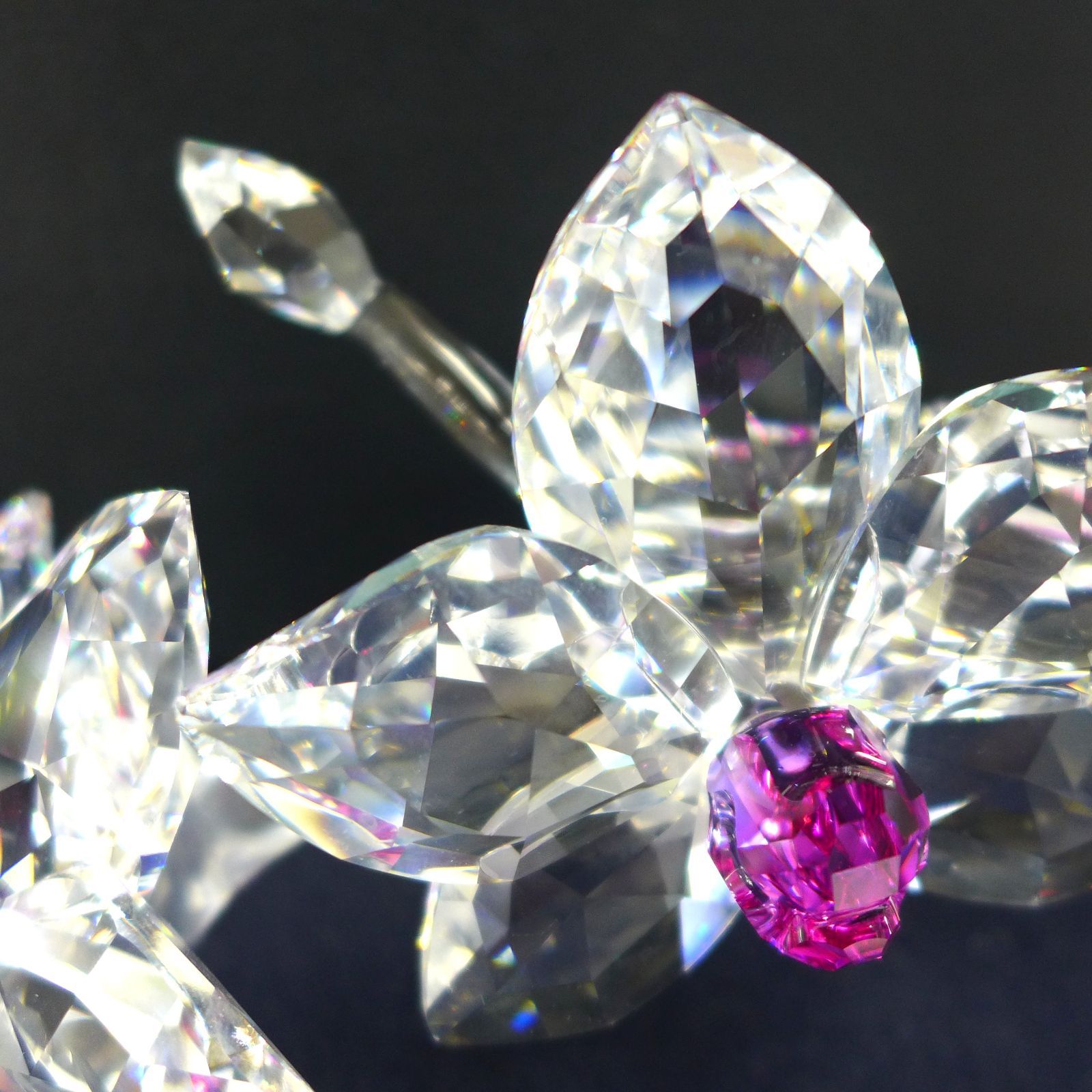 SWAROVSKI スワロフスキー オーキッド ラン 蘭 花 置物 楽天市場】スワロフスキー 2024年度SCS会員限定作品 アイディ
