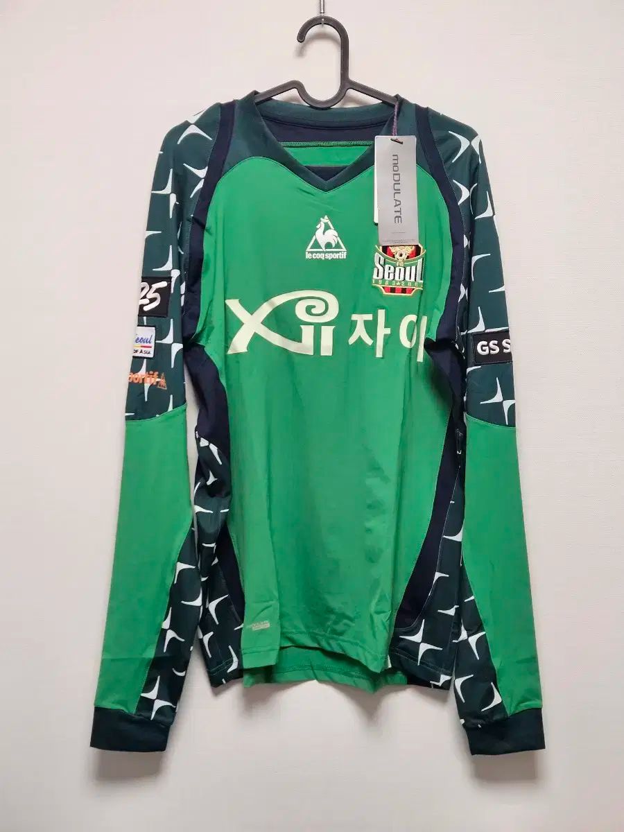  105 FC SEOUL（ソウル） 2013 ノンマーキング 支給品 キーパー 長袖 その他