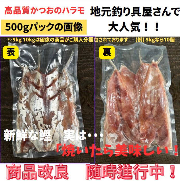 鮭 アキアジ