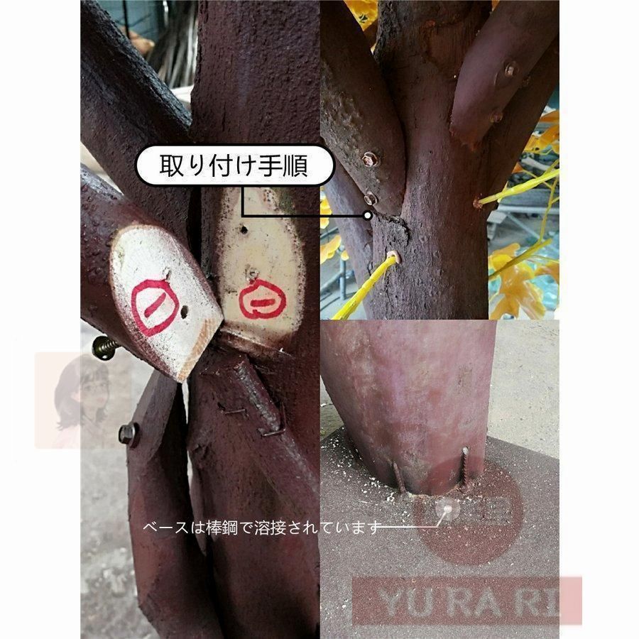 プラットフォーム 猫登山タワー猫の活動木