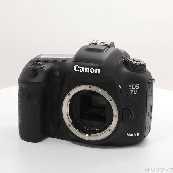 里中満智子「万葉集・秋の風」ジークレー 直筆サイン・エディション