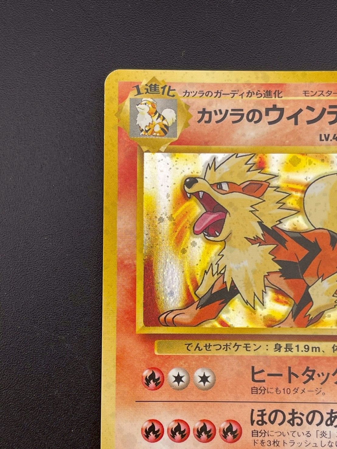 カツラのウインディ ★ ジム拡張第2弾 闇からの挑戦　美品 ジム拡張第2弾 闇からの挑戦 / Gym Challenge