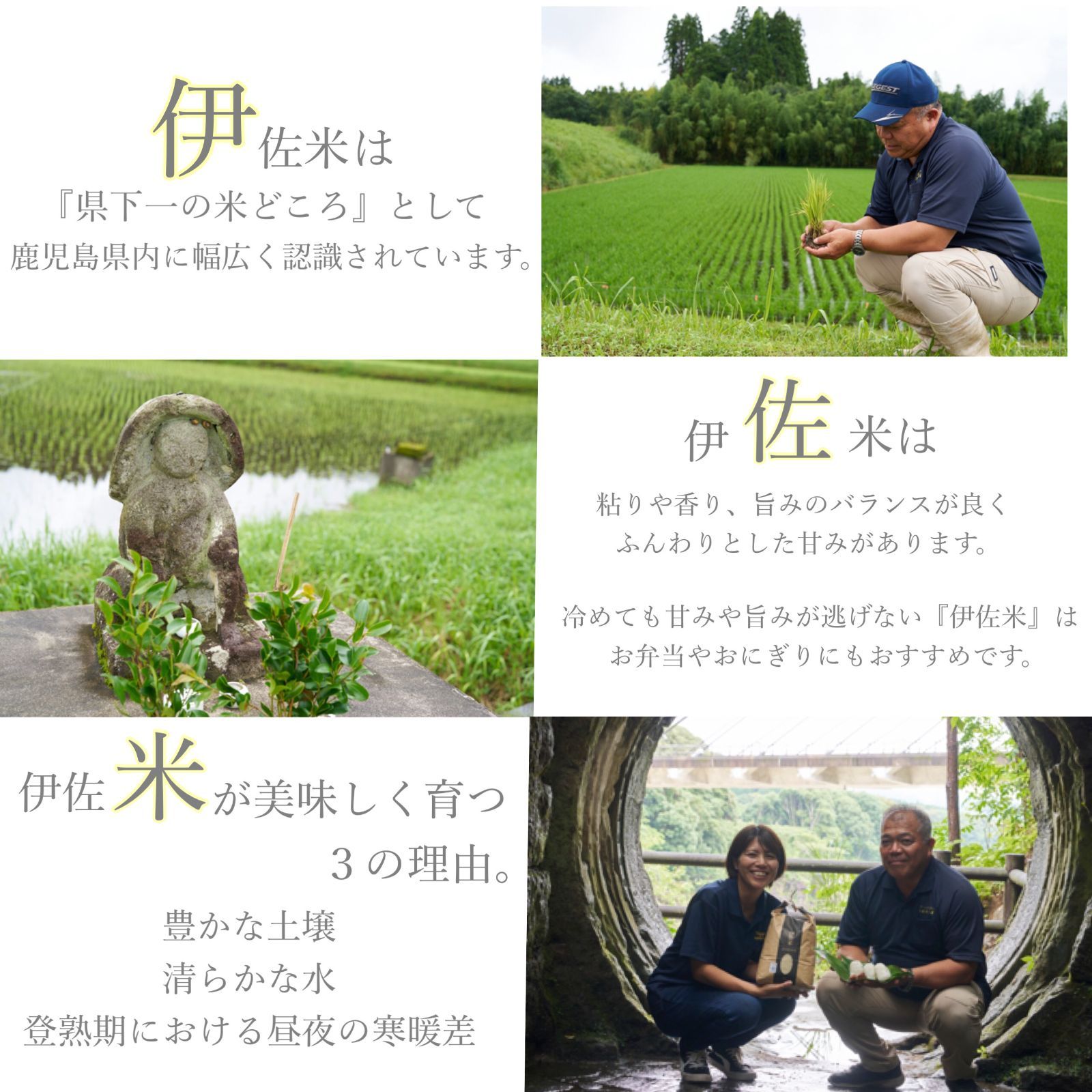 鹿児島県産 伊佐米 ヒノヒカリ 精米 5kg