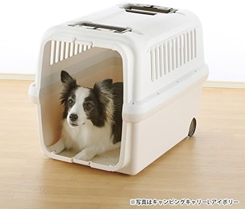 大型犬 ダークブラウン