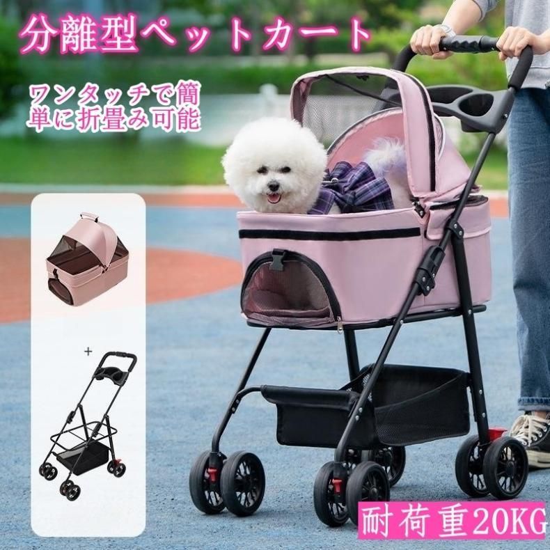 お出かけ
