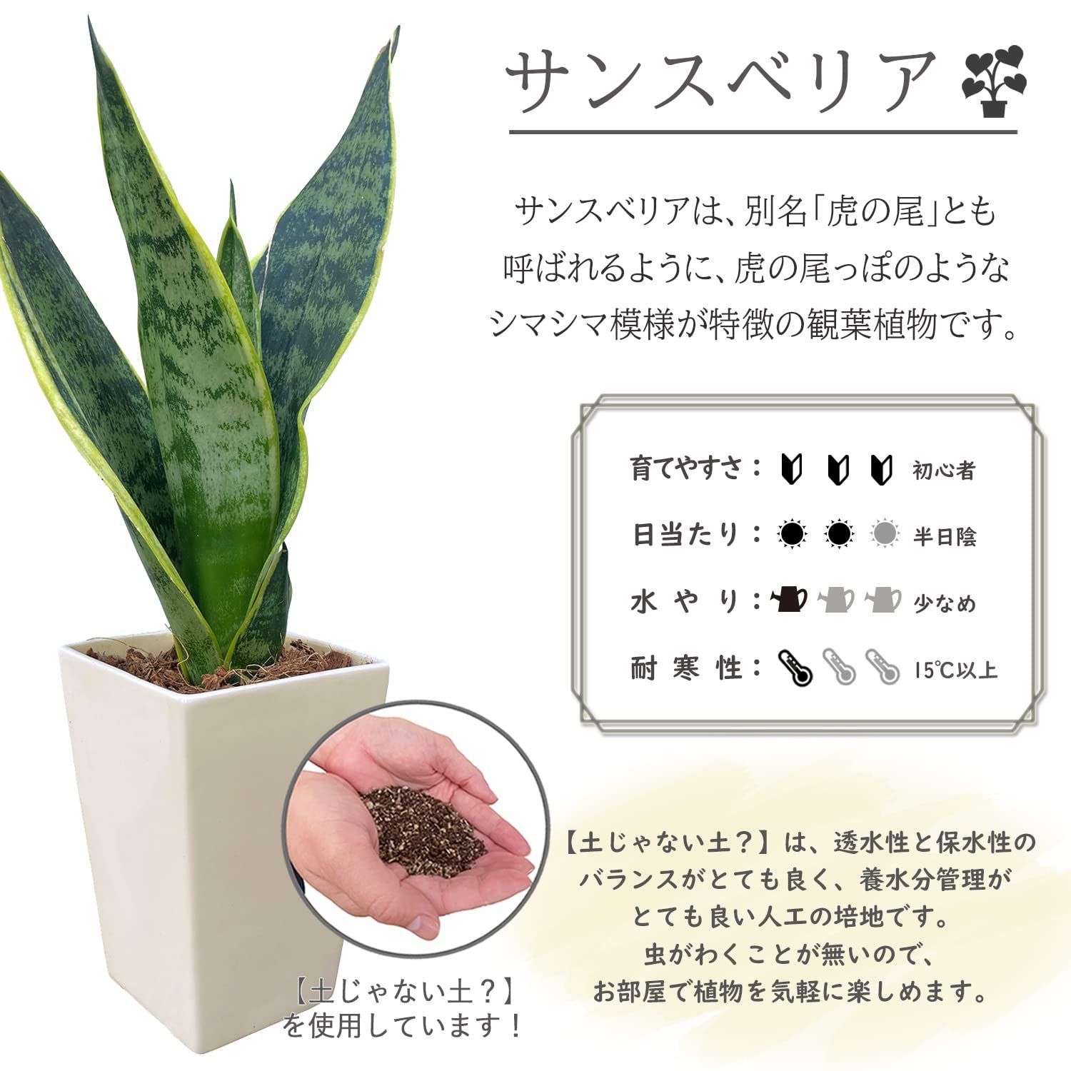 花のギフト社