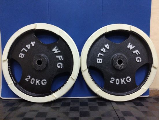 WILD FIT 28mmラバーリングプレート20kg 2枚1組