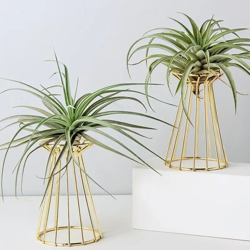 新品 ゴールドメタルプラントスタンド鉄ゴールデン花瓶、エアプランツホルダー鉄エネゴンタワー型幾何学植物スタンド、フラワーハンガーガーデンプラントラックエアシダディスプレイスタンド、家の装飾 kkkwri