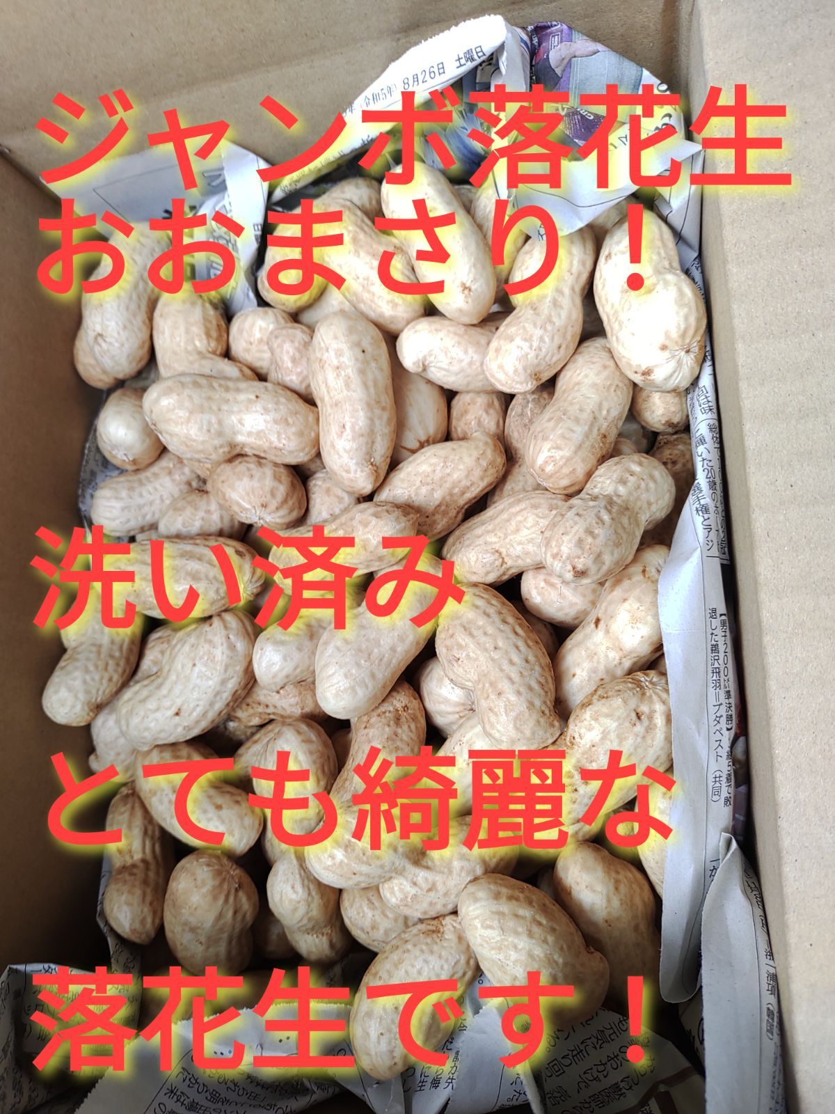 ⑩【新物】生落花生 おおまさり 大粒 新鮮 千葉県産 10kg 野菜