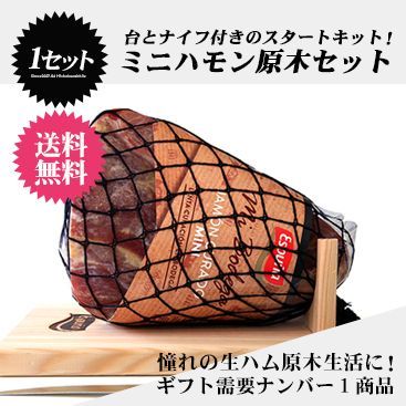 ご自宅で楽しめる憧れの熟成生ハム ミニ原木 スペイン産 ミニハモンセラーノ 台 ナイフ 3点セット 冷蔵 冷凍可 ギフト ミニハモン グルメ 生ハム