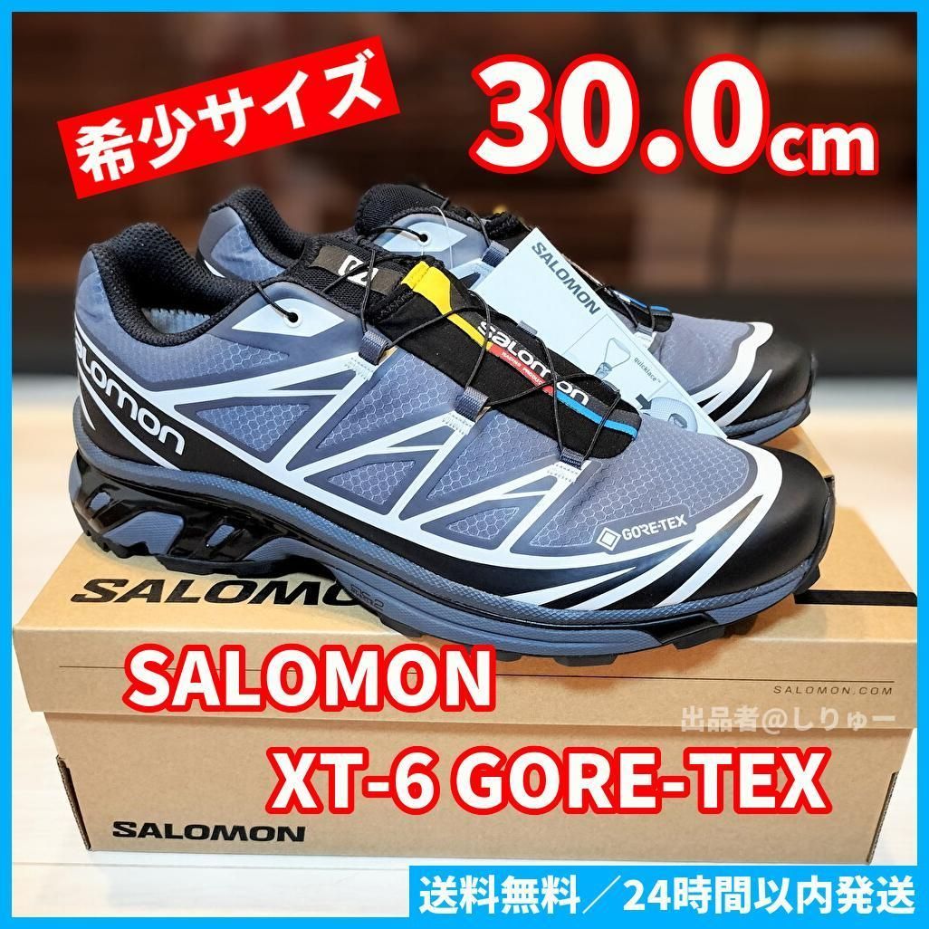 新品 希少サイズ 30.0cm サロモン SALOMON XT-6 メンズ スニーカー ...