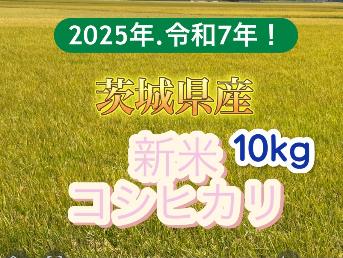 新米10キロ 令和7年産 銘柄米 1等米