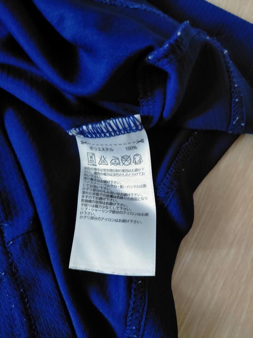 水墨画 掛軸 富士山と鷹 道隆 鷹と富士山 水墨画 掛軸 約5尺 道隆 鷹と