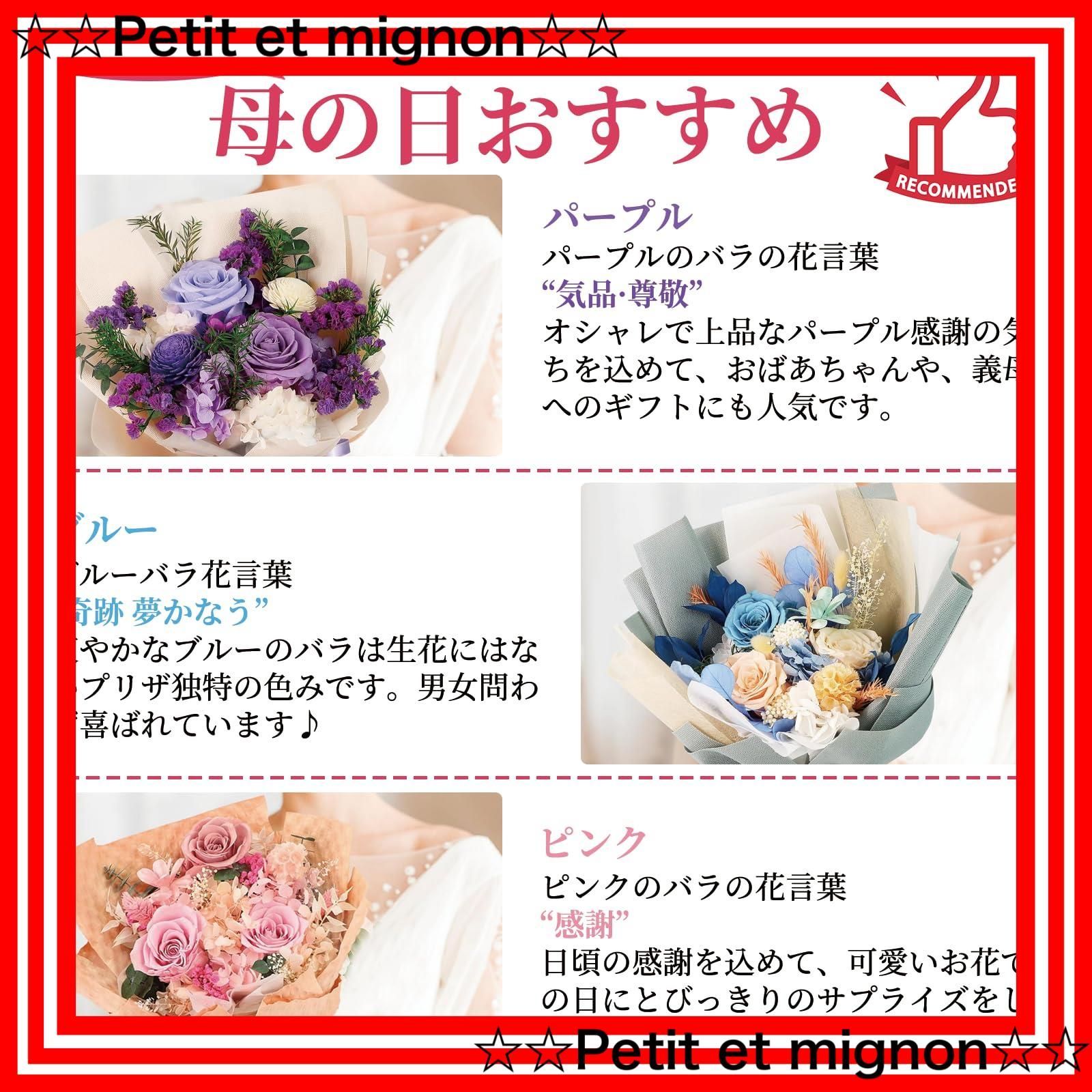 パープル 薔薇