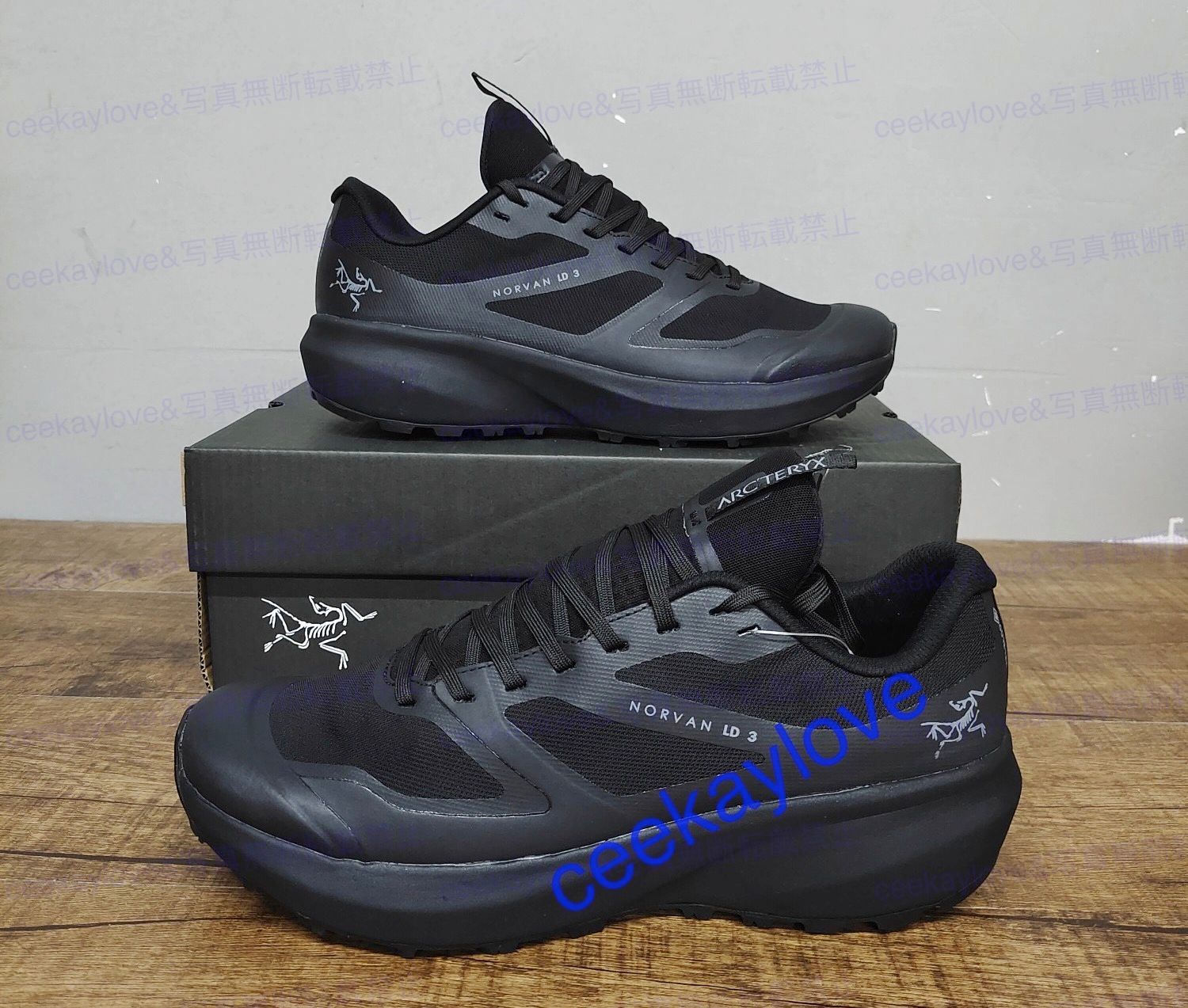 軽量【Arc'Teryx】ノーバン LD 3 シューズ NORVAN LD 3 SHOE