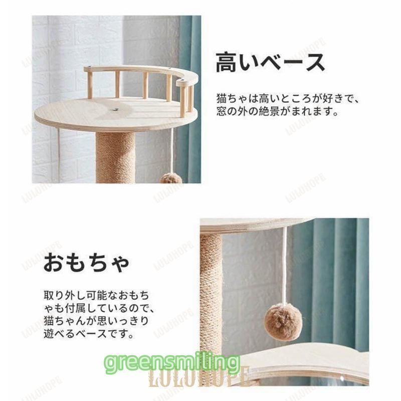 木目 ZYP31秋冬
