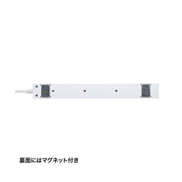 2P 10個口