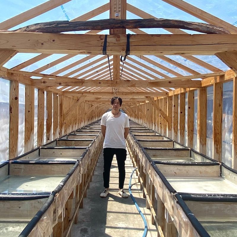 天日塩 美味海 500g 10袋セット うまみ 海工房 天日自然海塩 国産 塩 天然 高知県産 調味料 WWW_SMP1DAWEKUDUS_SCH_ID