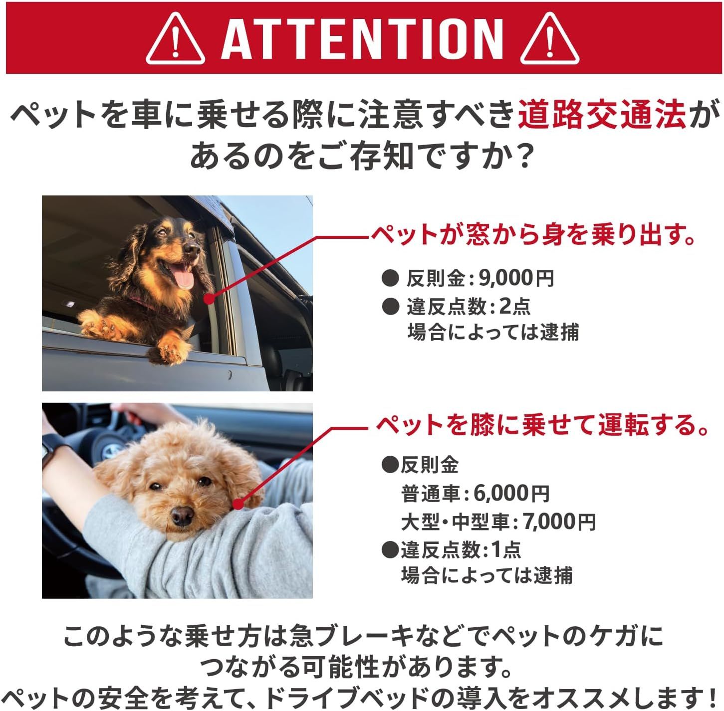 猫用