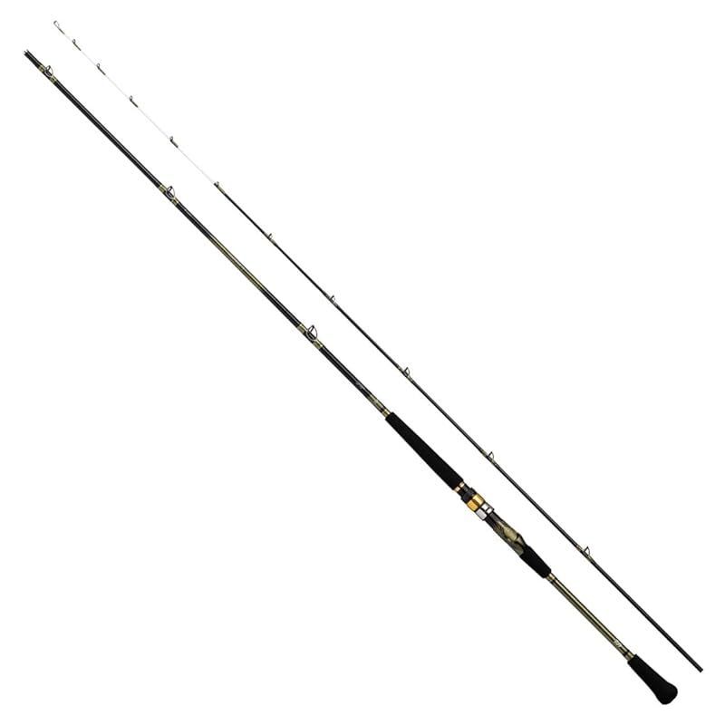 ダイワ DAIWA アナリスター73 30-180･Q