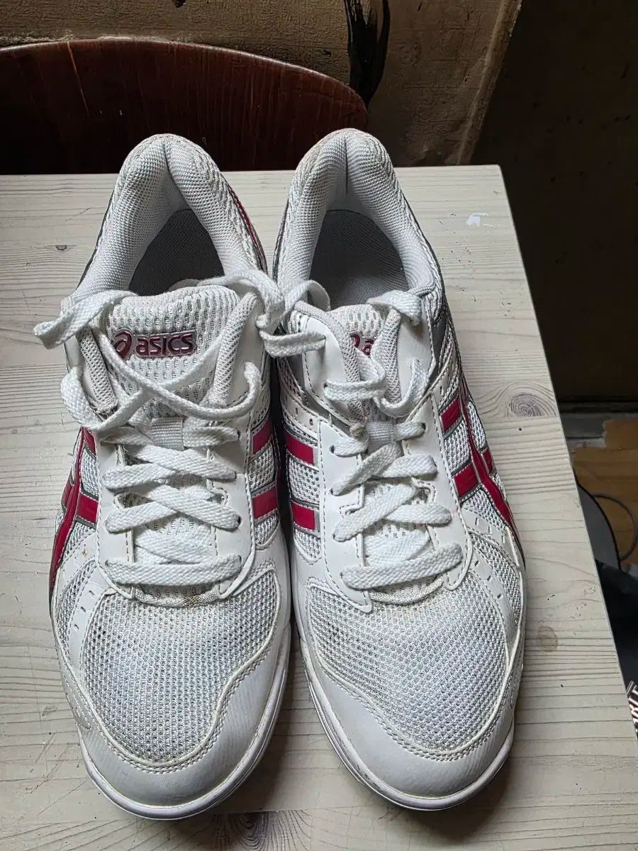 asics アシックス 宝くじ fl5 バレーボール バドミントン スポーツ大学入試 260mm