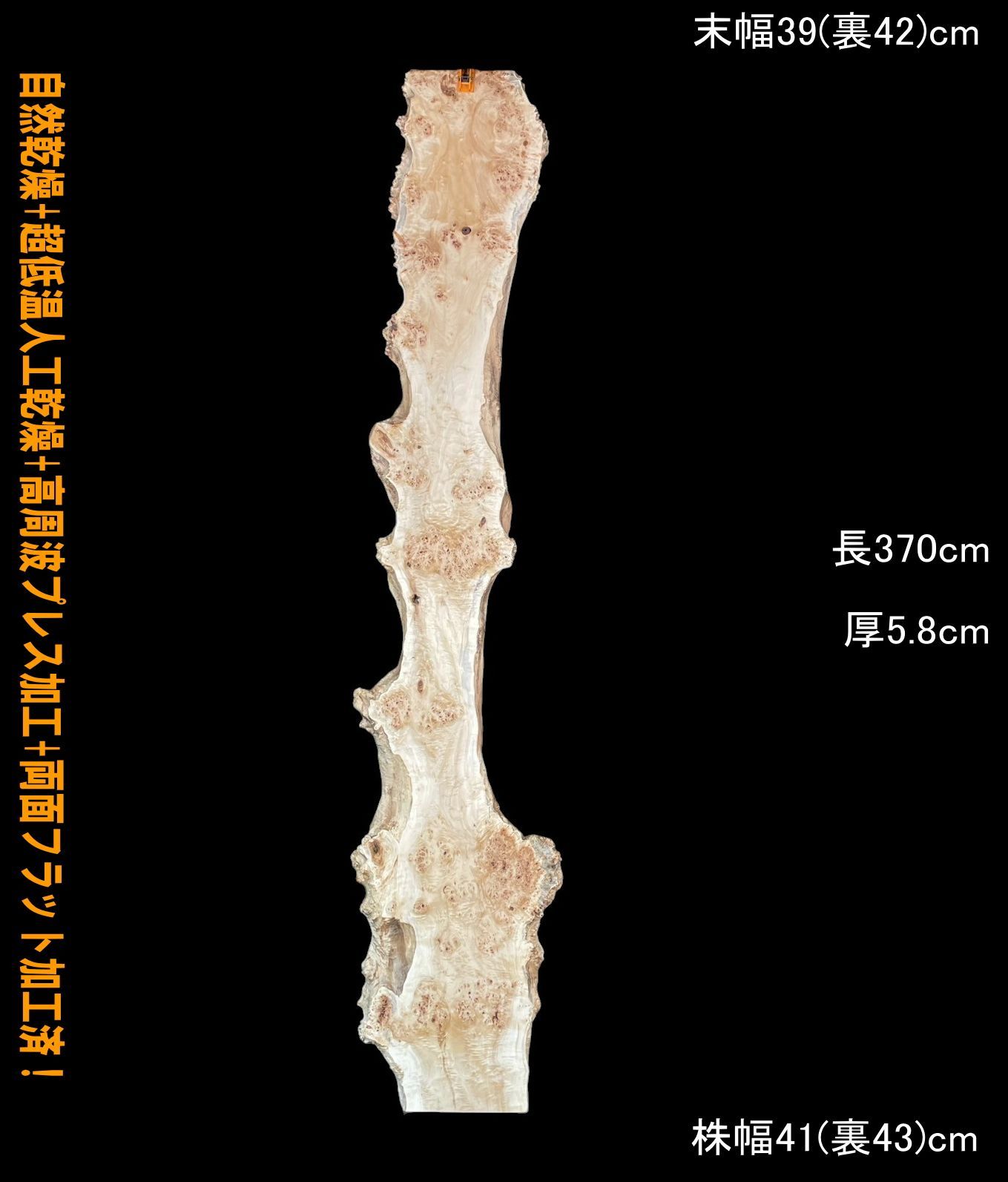 ポプラ M173-2 レジン 瘤 一枚板 乾燥材 長尺 棚板 カウンター テーブル DIY 耳付 天板 座卓 テレビボード