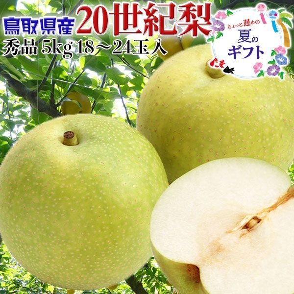 鳥取県産 梨 秀品 20世紀梨 5kg 18~24玉入 贈答用 青梨 遅めの夏ギフト・遅れてごめんねお中元・敬老の日・ギフト - メルカリ
