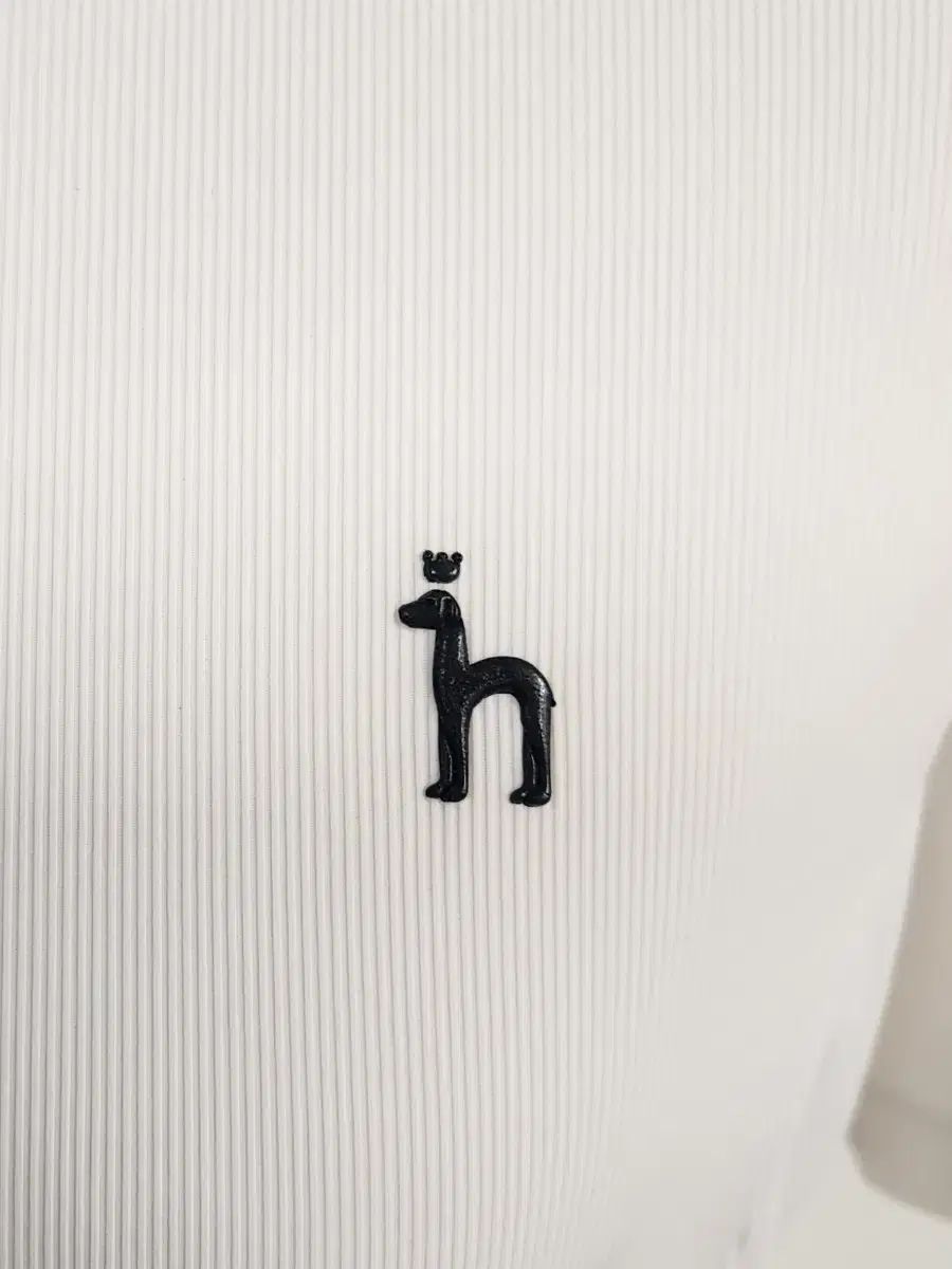へジス